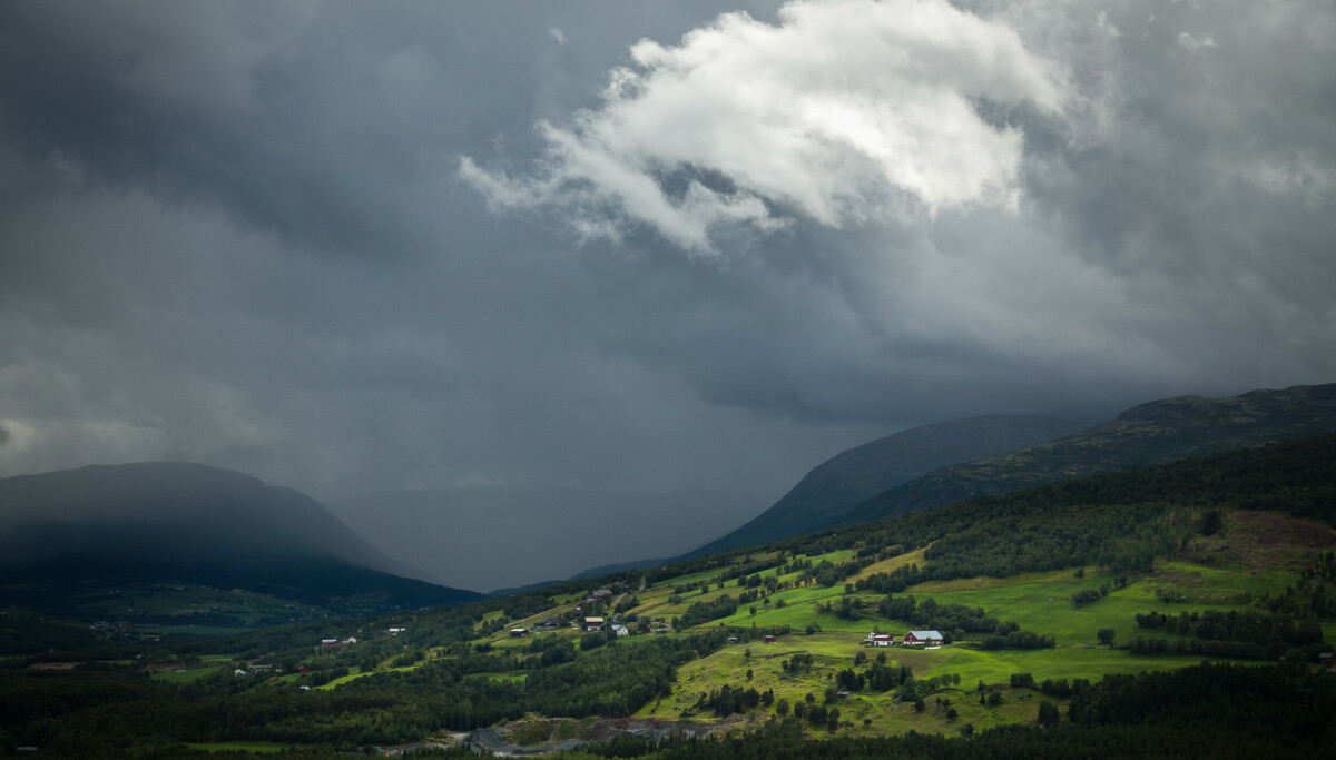 Kjørte én kilometer - fikk kjempebot
