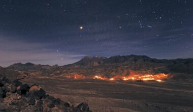 Kan våkne etter 700 000 år