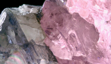 sjokk: - Som Gullhår og bjørnene