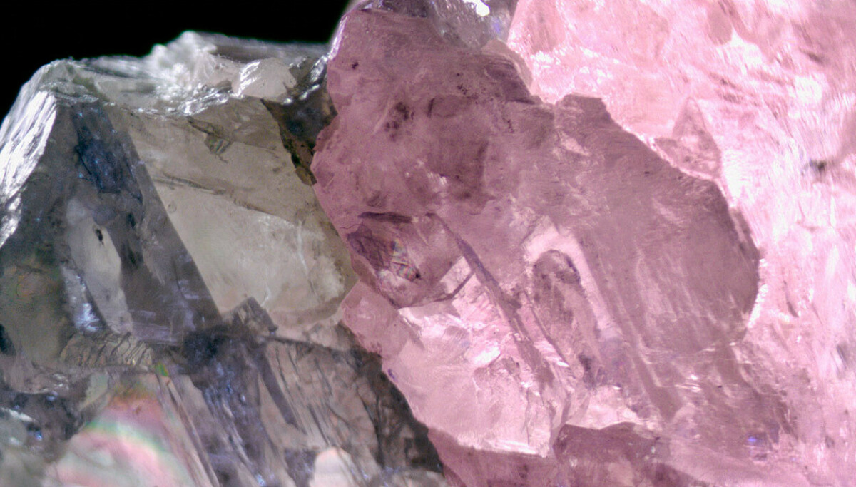 sjokk: - Som Gullhår og bjørnene