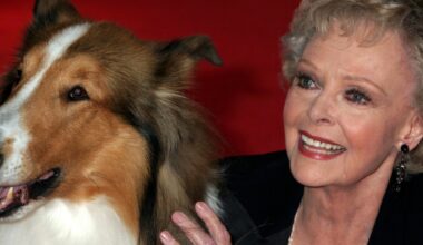 «Lassie»-stjerna June Lockhart er død