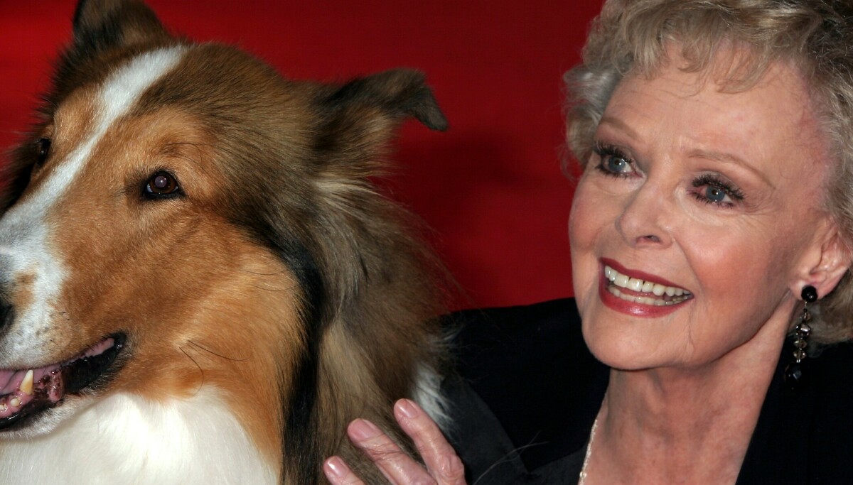 «Lassie»-stjerna June Lockhart er død