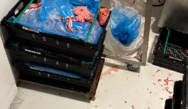 Sjokksyn: Stengt på dagen