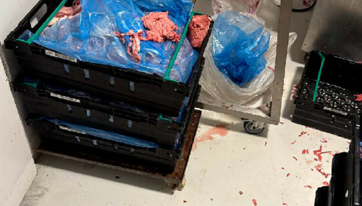 Sjokksyn: Stengt på dagen