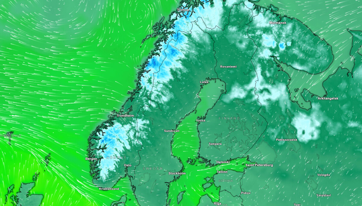 Nå kommer nattefrosten