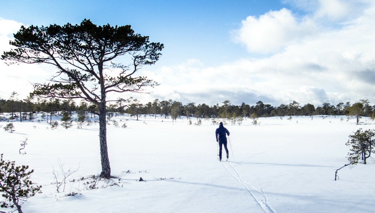 Ferietriks: 16 dager fri