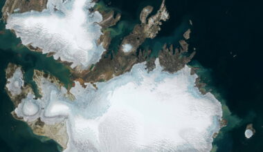 - Menneskeheten har feilet