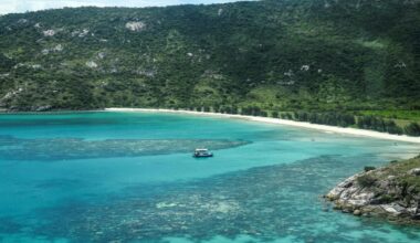 Cruisepassasjer glemt på øy: Funnet død