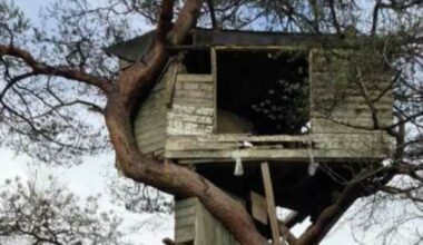 Vil rive Erlends barndomshytte - Dagbladet