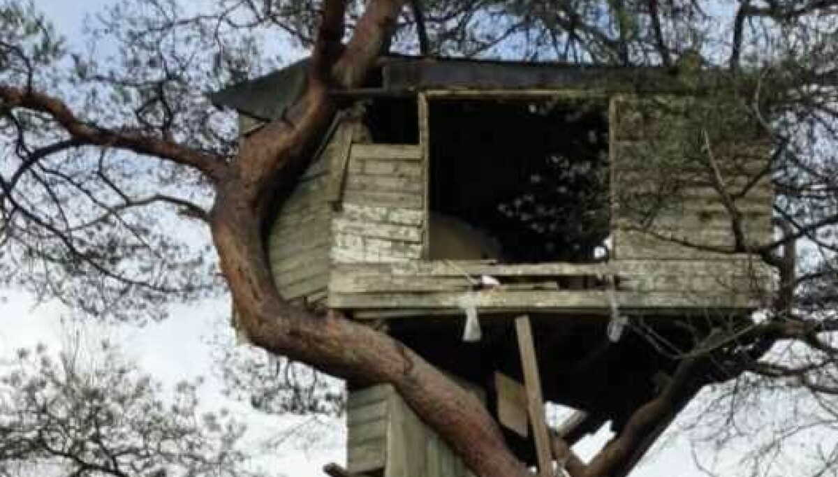 Vil rive Erlends barndomshytte - Dagbladet