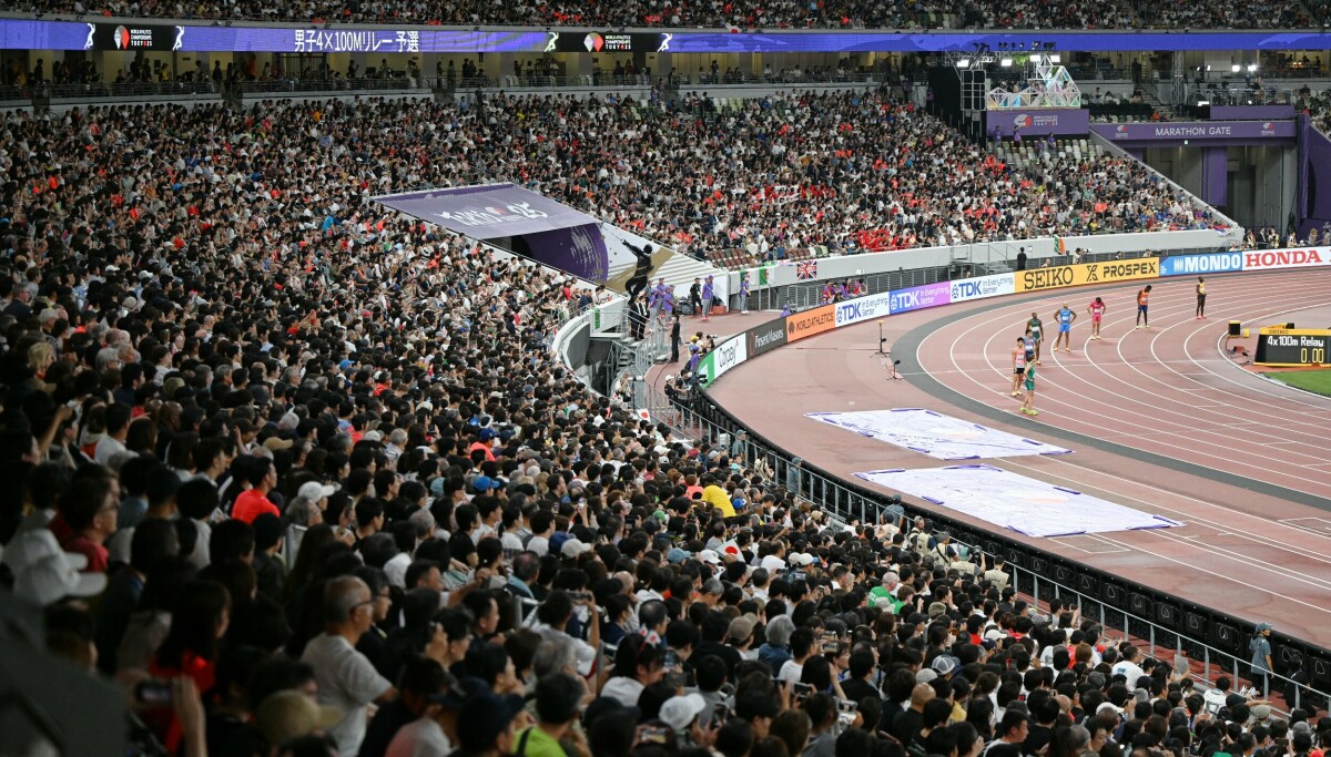 - Stjal 17 millioner kroner