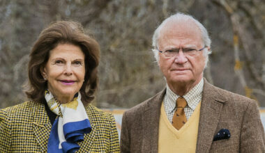 Kong Carl Gustafs 'ulovlige' badebrygge må rives, ifølge ny rapport