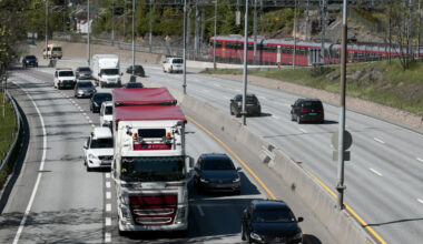 Advarer om køer også denne helga