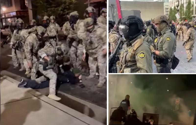 – Vi vil aldri la mobben ta over gatene