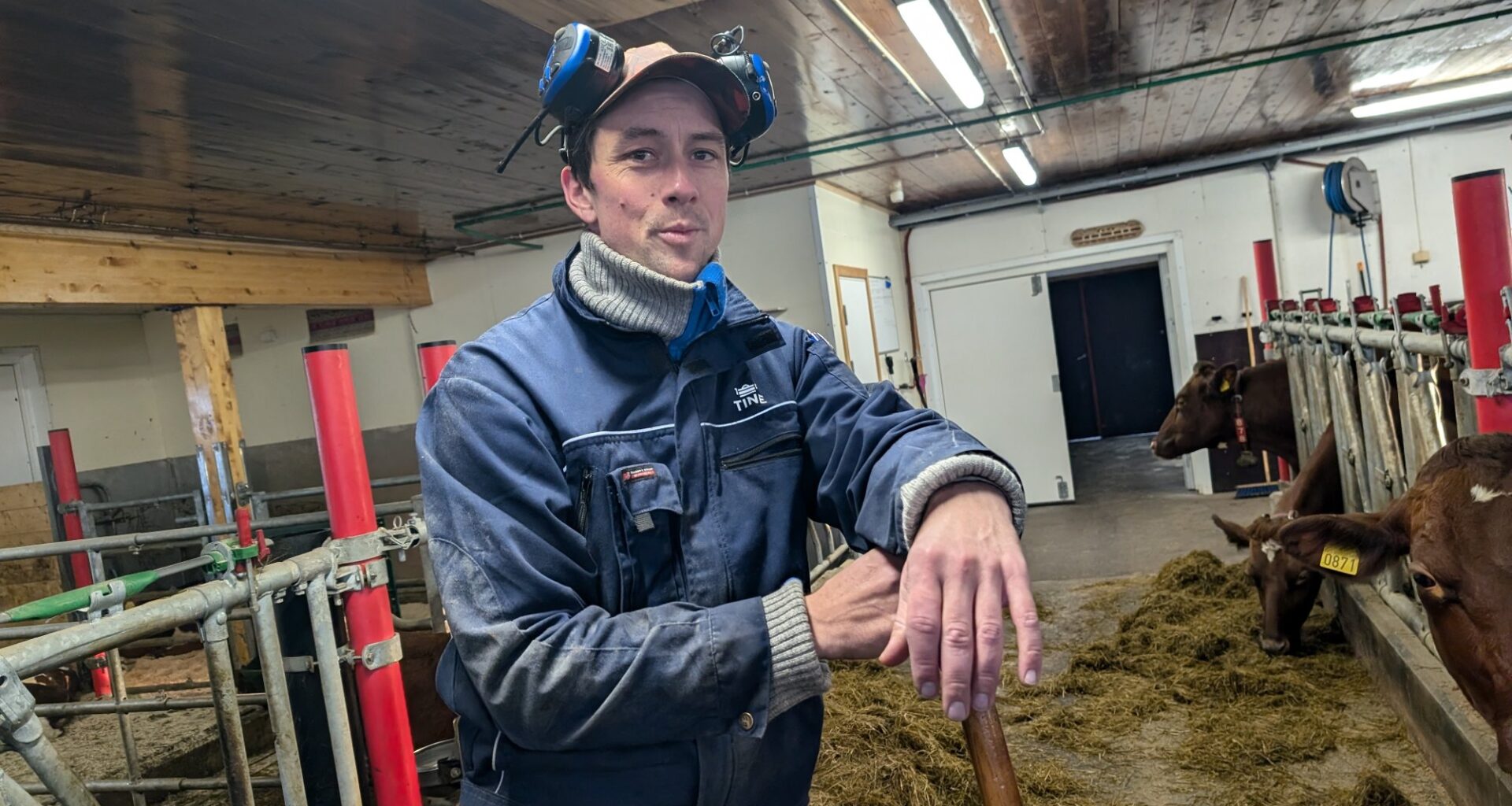 Skogbruk, Landbruk | Tømmerprisene snur nedover – skogeierne har hogget rekordmye