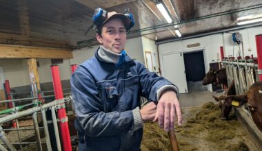 Skogbruk, Landbruk | Tømmerprisene snur nedover – skogeierne har hogget rekordmye