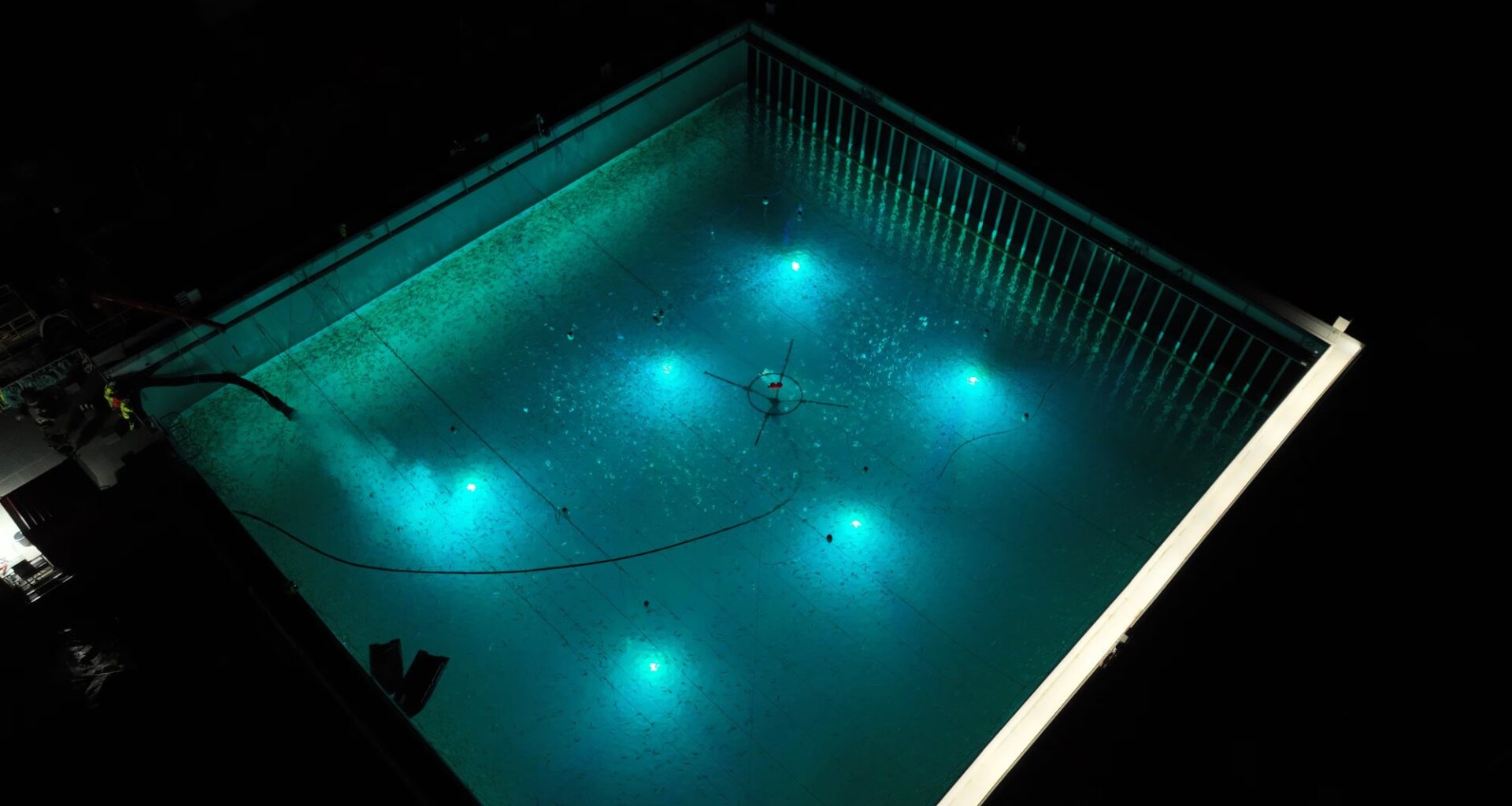 Andøy, Nyheter | Her går det over all forventning: – Vi har mye arbeid foran oss før vi kan feire