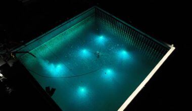 Andøy, Nyheter | Her går det over all forventning: – Vi har mye arbeid foran oss før vi kan feire