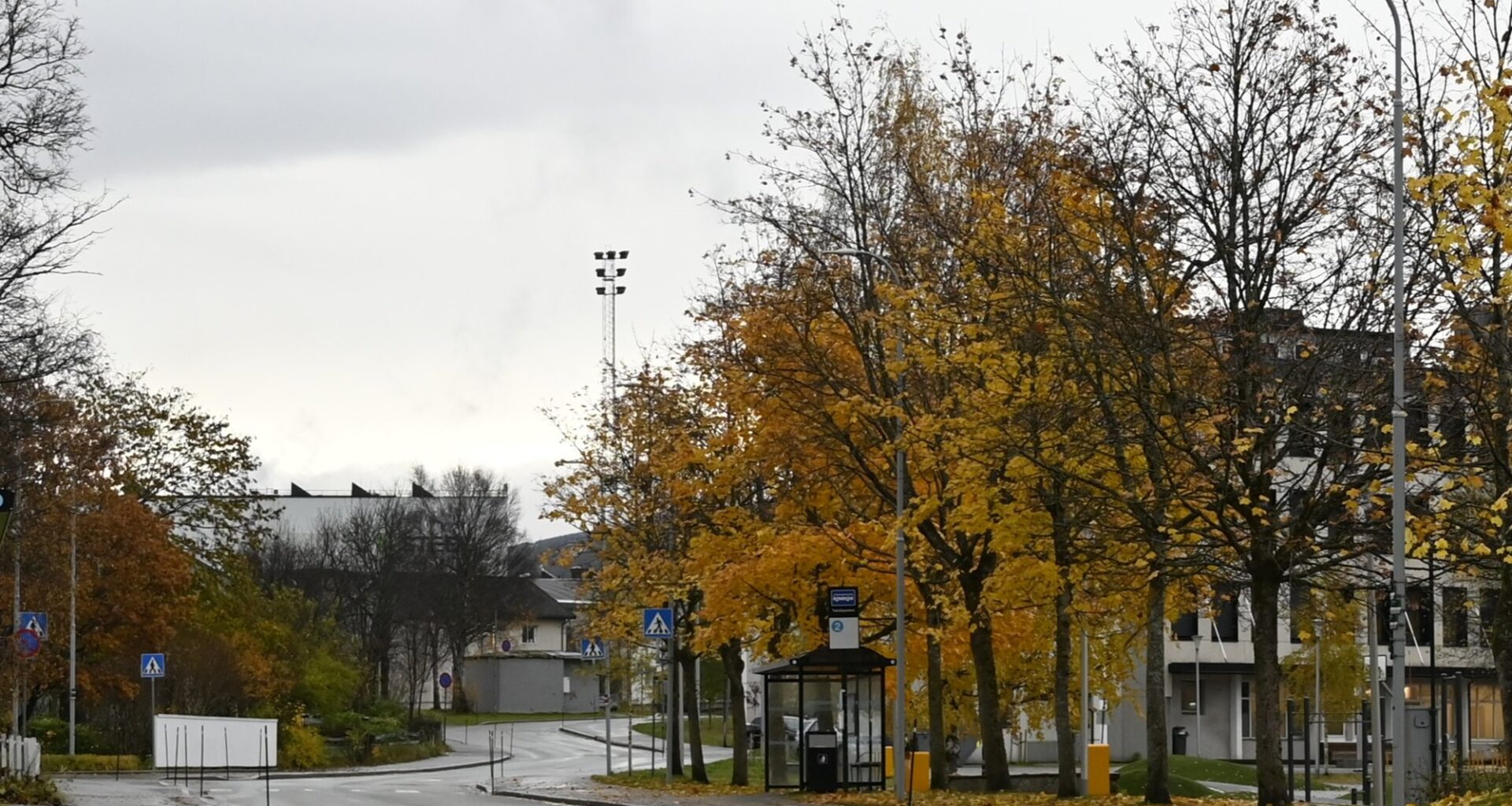 Trafikk, Trafikkskilt | Her blir det snart forbudt å stanse: – Brudd gir gebyr på 900 kroner