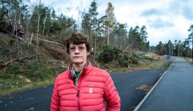 Vurderer å leige privatetterforskar for å avsløre kven som står bak hærverk i skogen – NRK Vestfold og Telemark – Lokale nyheter, TV og radio