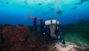 Forskere har oppdaget flere store utslipp av metan på bunnen av Rosshavet sør for Antarktis. Utslippet av gassen kan få store konsekvenser for den globale oppvarmingen