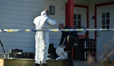 Politi, Alver | Politiet vil fengsle mann etter mistanke om drapsforsøk