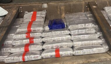 Nyheter, Smugling | Smuglet halvt tonn hasj