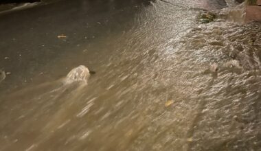 Nyhet, Åssiden | Her flommer det over