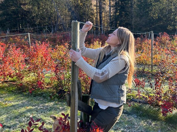 blåbærbonde, Frøydis Bryn-Elvik