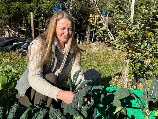 blåbærbonde, Frøydis Bryn-Elvik