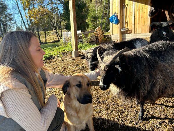 blåbærbonde, Frøydis Bryn-Elvik
