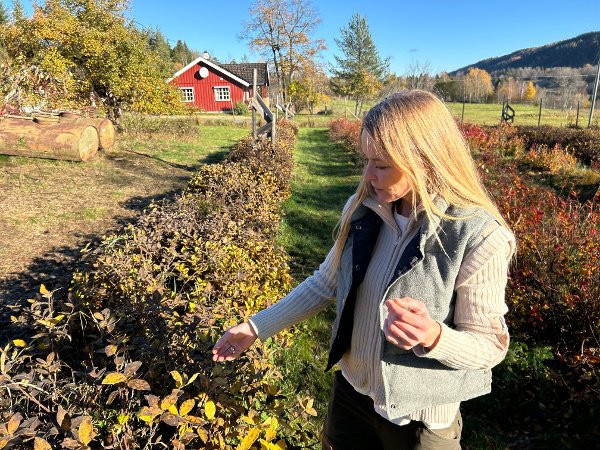 blåbærbonde, Frøydis Bryn-Elvik