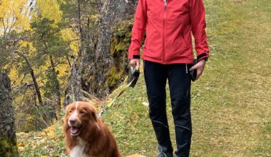 Meiningar, Lærdal | Bevar eit berekraftig sjukehus i Lærdal slik det er i dag!