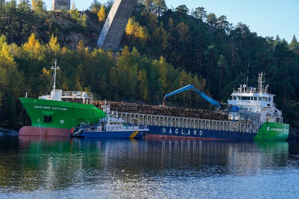Svinesund, Sverige 20251016. 
Det norske skipet Hagland Captain lastet med tømmer har gått på grunn og kjørt seg fast under Svinesundsbrua. Kystvakten sier at situasjonen er stabil.
Foto: Cornelius Poppe / NTB