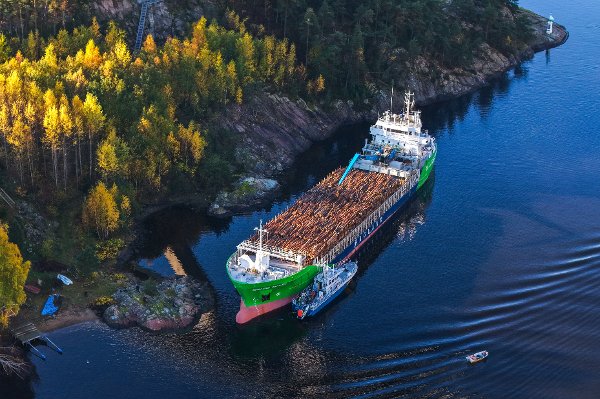 Svinesund 20251016. 
Det norske skipet Hagland Captain lastet med tømmer har gått på grunn og kjørt seg fast under Svinesundsbrua. Kystvakten sier at situasjonen er stabil
Foto: Cornelius Poppe / NTB