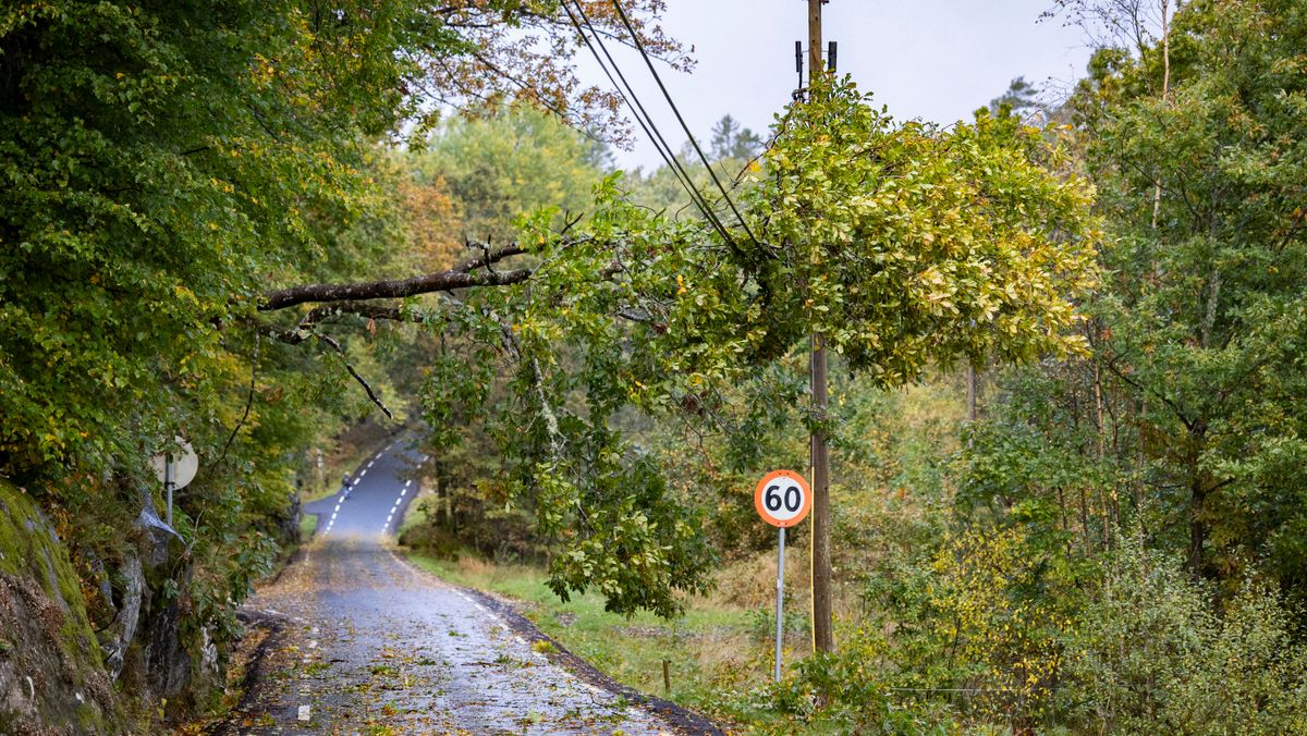 Kriseledelsen i Orkland kommune i arbeid mens stormen raste lørdag kveld. Orfører Hanne Nyhus sitter nærmest, med beredskapssjef Anders Jystad til venstre for seg.