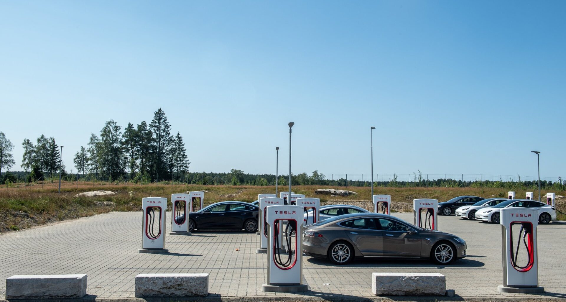 Tesla, Elon Musk | Norge mot vinden: – Tesla er i en klasse for seg selv