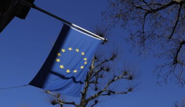 Denne uken i EU: Moms-kartell, sykehus-korrupsjon og subsidiesvindel