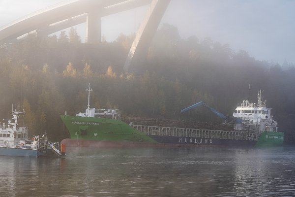 Svinesund, Sverige 20251016. 
Det norske skipet Hagland Captain lastet med tømmer har gått på grunn og kjørt seg fast under Svinesundsbrua. Kystvakten sier at situasjonen er stabil.
Foto: Cornelius Poppe / NTB