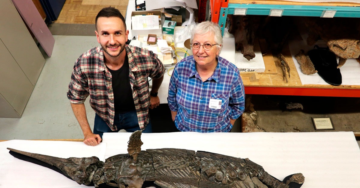 Fossilet av Xiphodracon goldencapensis, kjent som «Dorsets sverddrage», ble funnet i 2001, men først nå har forskere kastet seg over den.