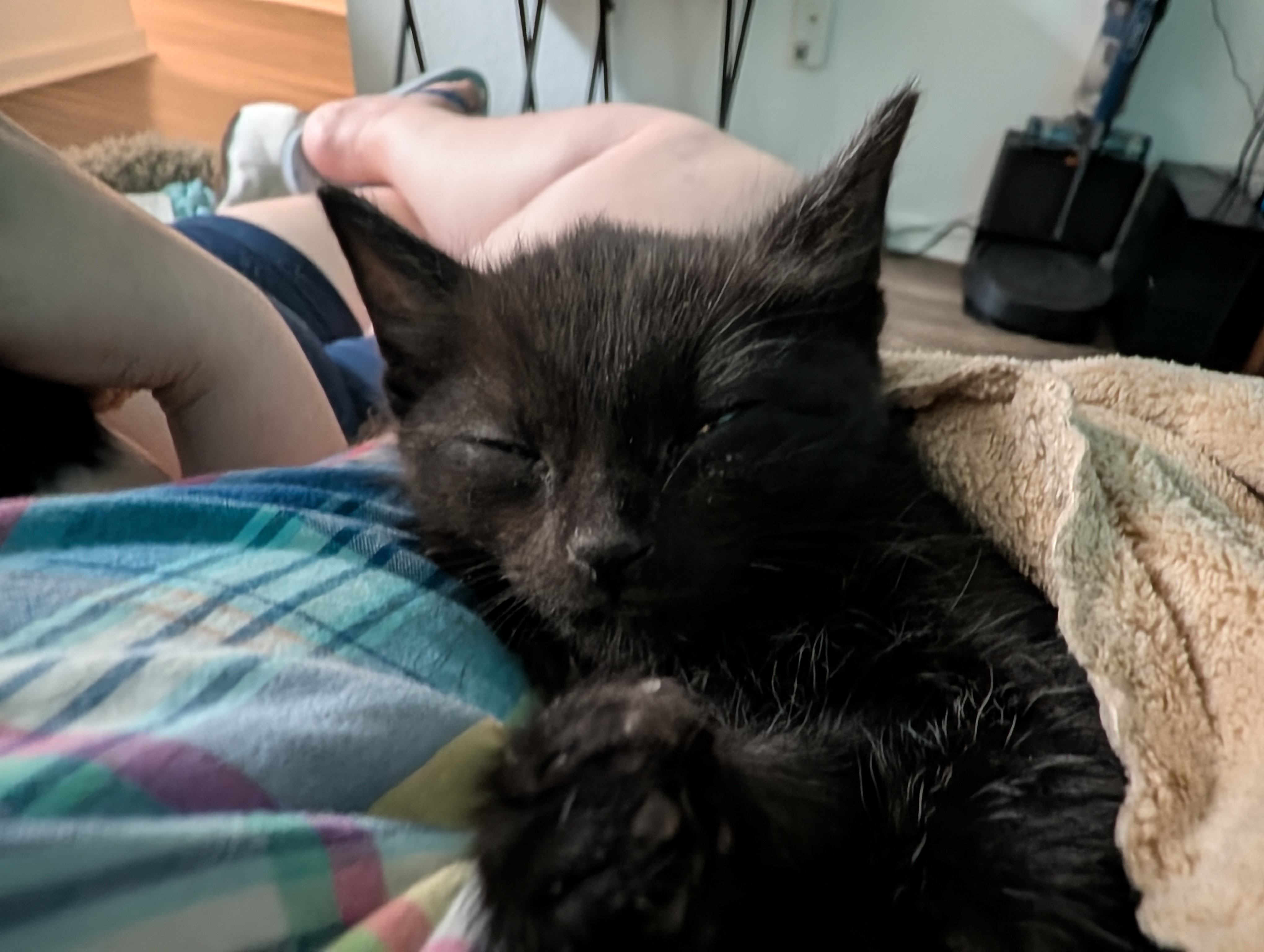 Fotoeksempler tatt med Google Pixel 10 Pro og Pixel 10 Pro XL.