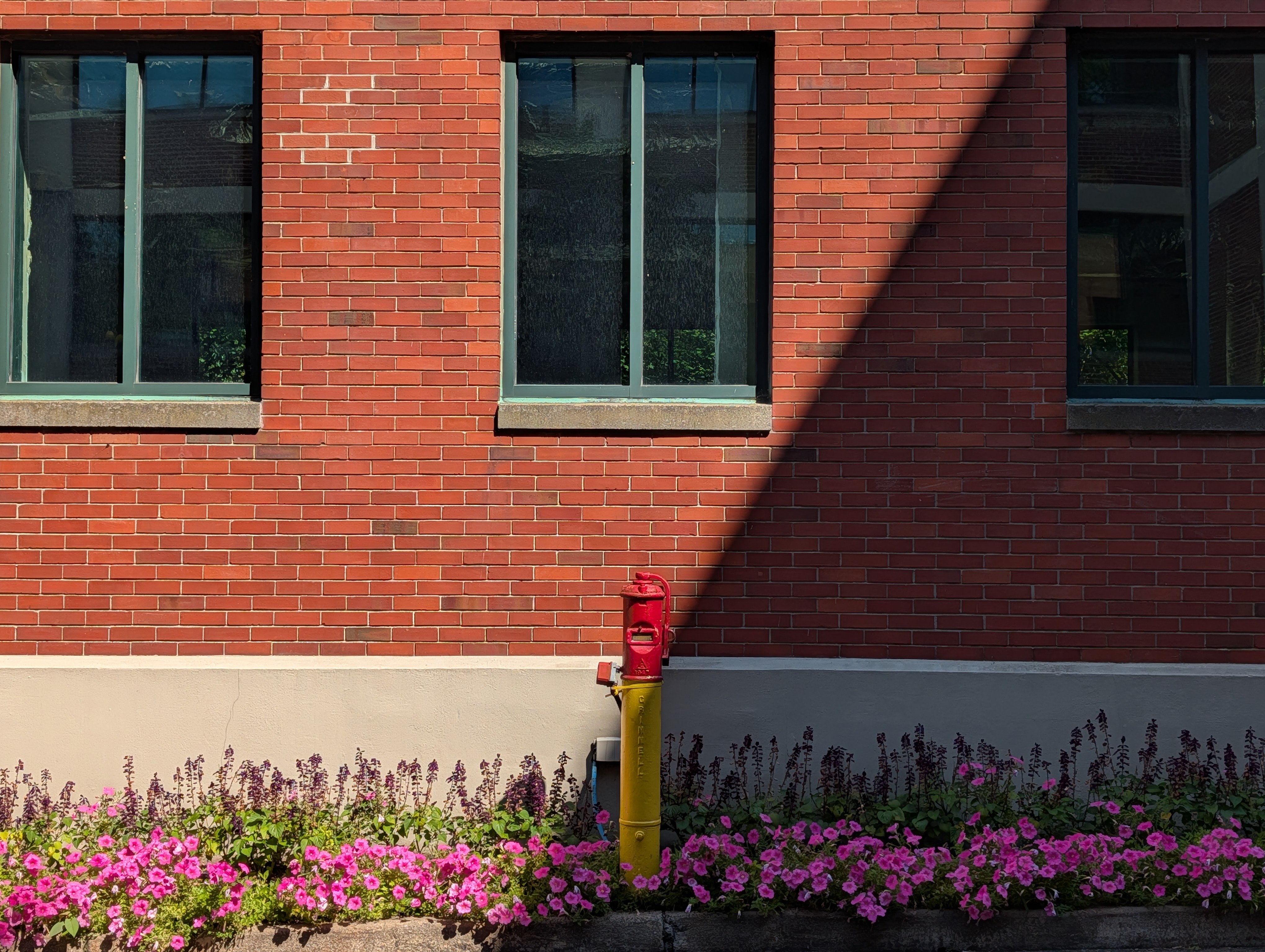 Fotoeksempler tatt med Google Pixel 10 Pro og Pixel 10 Pro XL.