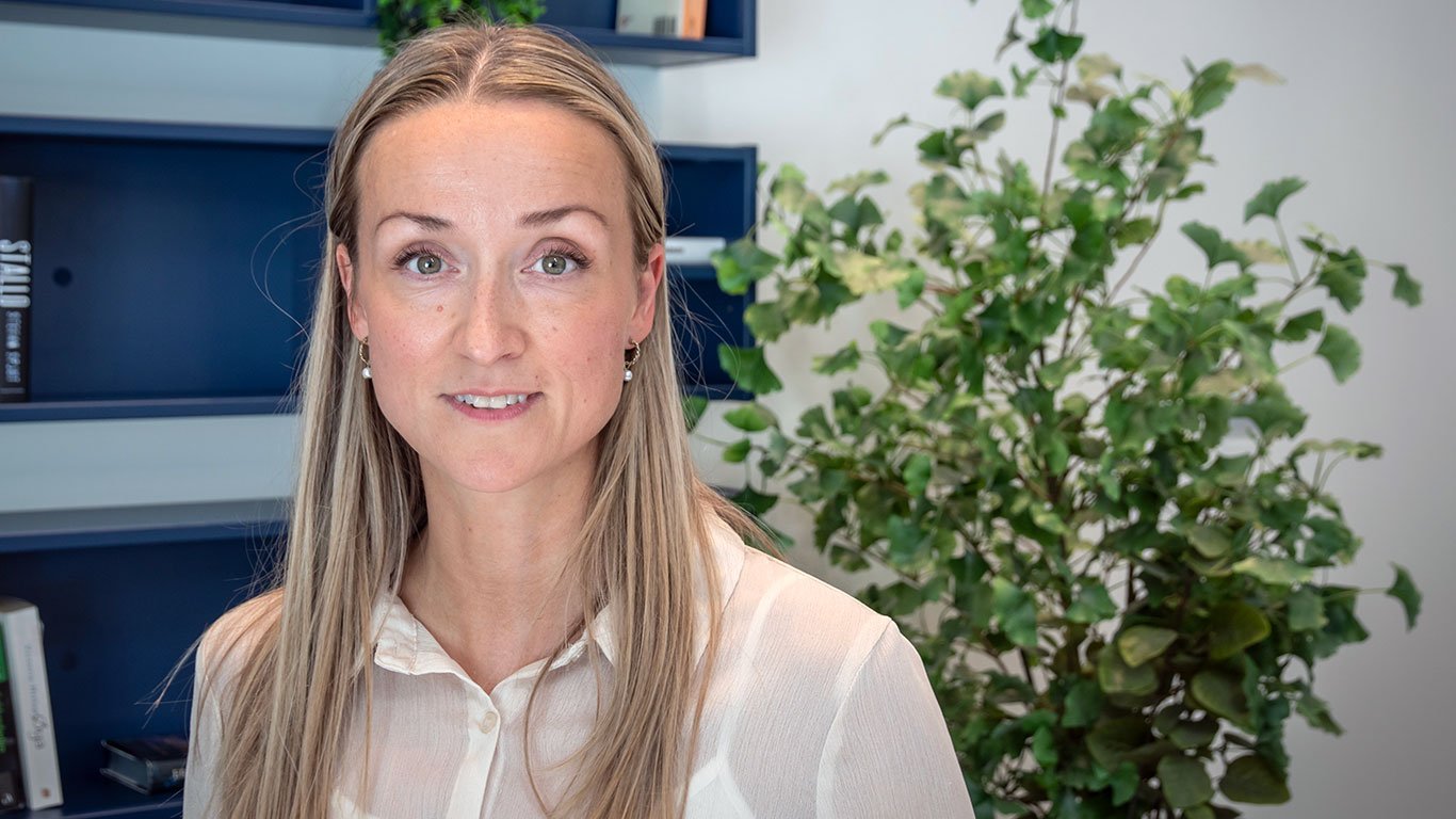 Norgespris, Strøm | Forventer Norgespris-kaos når regningen kommer