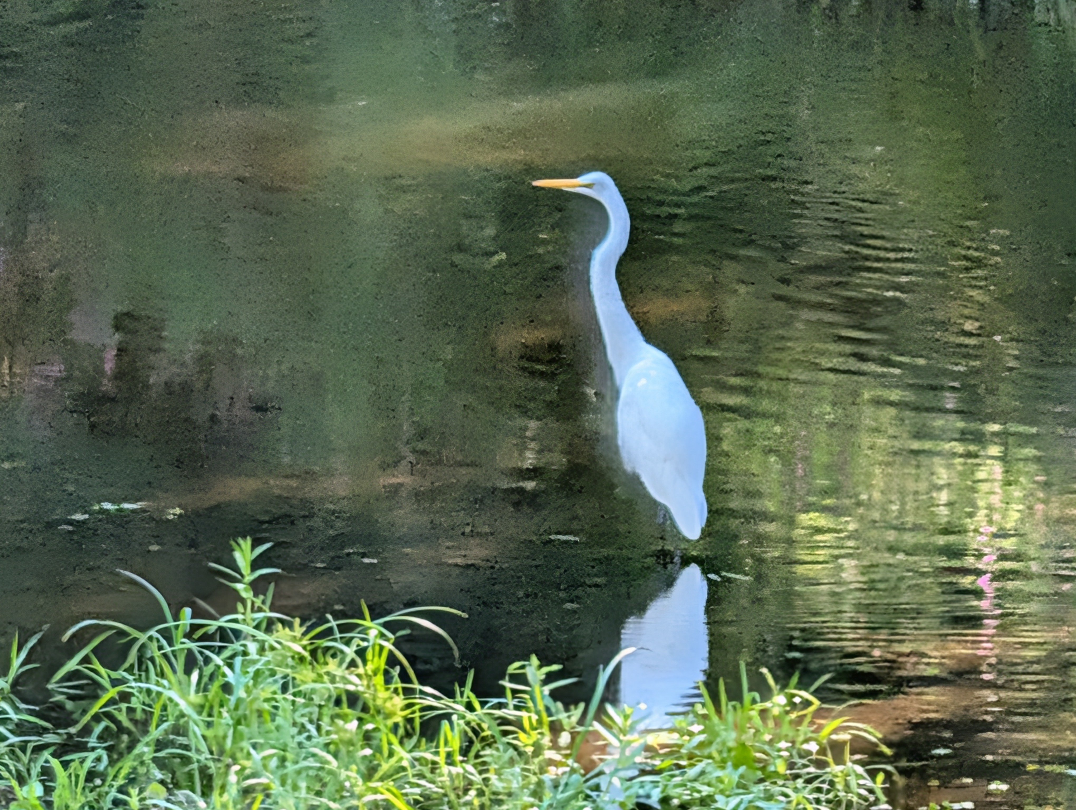 Fotoeksempler tatt med Google Pixel 10 Pro og Pixel 10 Pro XL.