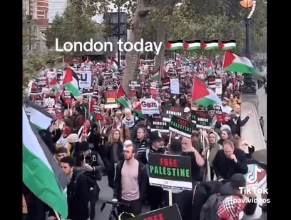 Pro- Palestina protester til tross for oppfordring fra Starmer