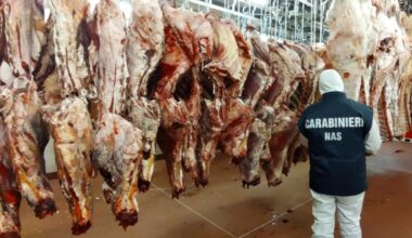 Europol, Matkriminalitet | Den årlige aksjonen mot matkriminalitet, Opson (XIV) resulterte beslag av til sammen 11.566 tonn mat og 1,4 millioner liter drikkevarer