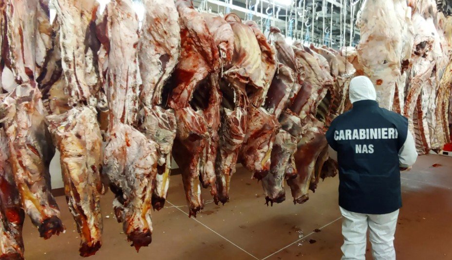 Europol, Matkriminalitet | Den årlige aksjonen mot matkriminalitet, Opson (XIV) resulterte beslag av til sammen 11.566 tonn mat og 1,4 millioner liter drikkevarer