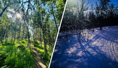 Solneset, Vestskogen | Bevar Tromsømarka – stopp nedbygging av Solneset