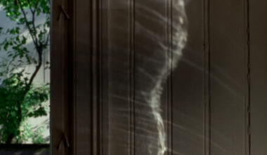 Analysen: Affeksjonsverdi (2025)