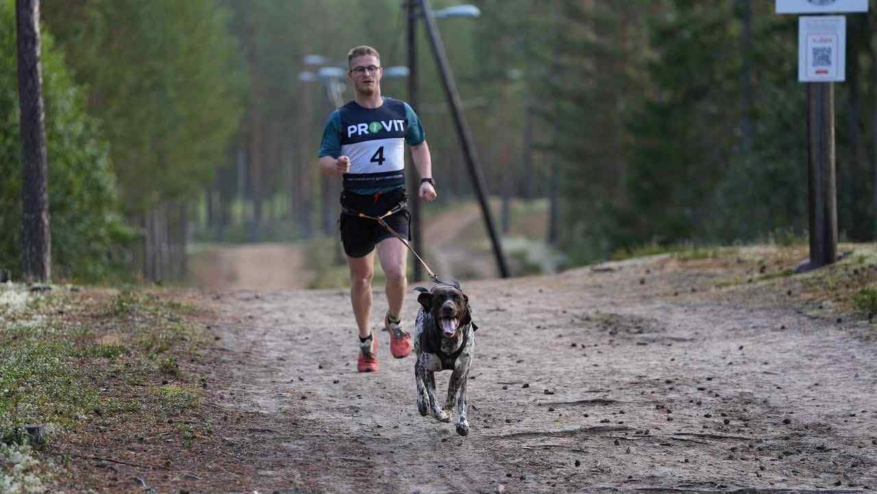 Hundekjøring, Trysil og Engerdal | Vant nok en gang – og nå venter de aller beste i verden